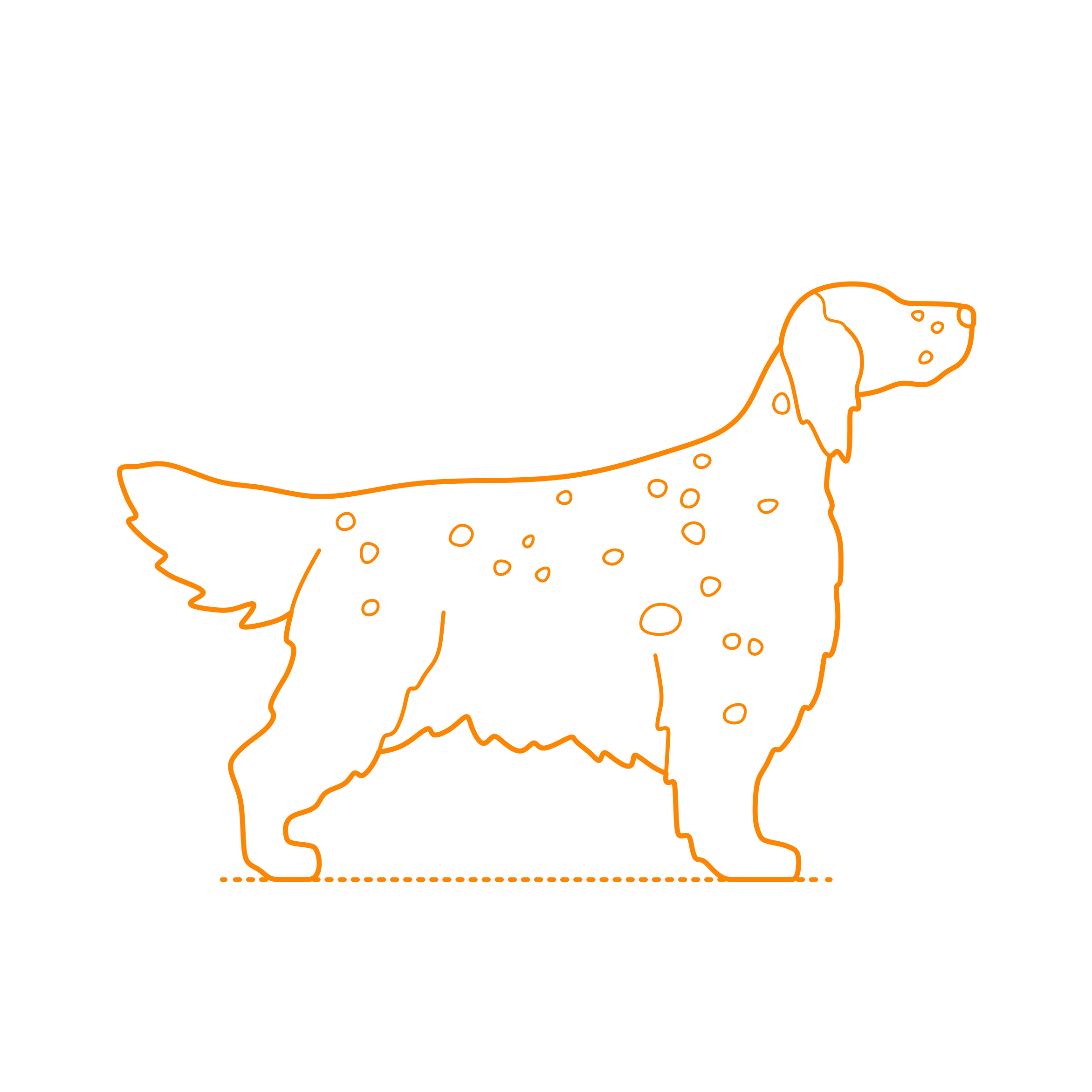 Animals Dogs English Setter Sketch Style Svg Vector Free Vectors
